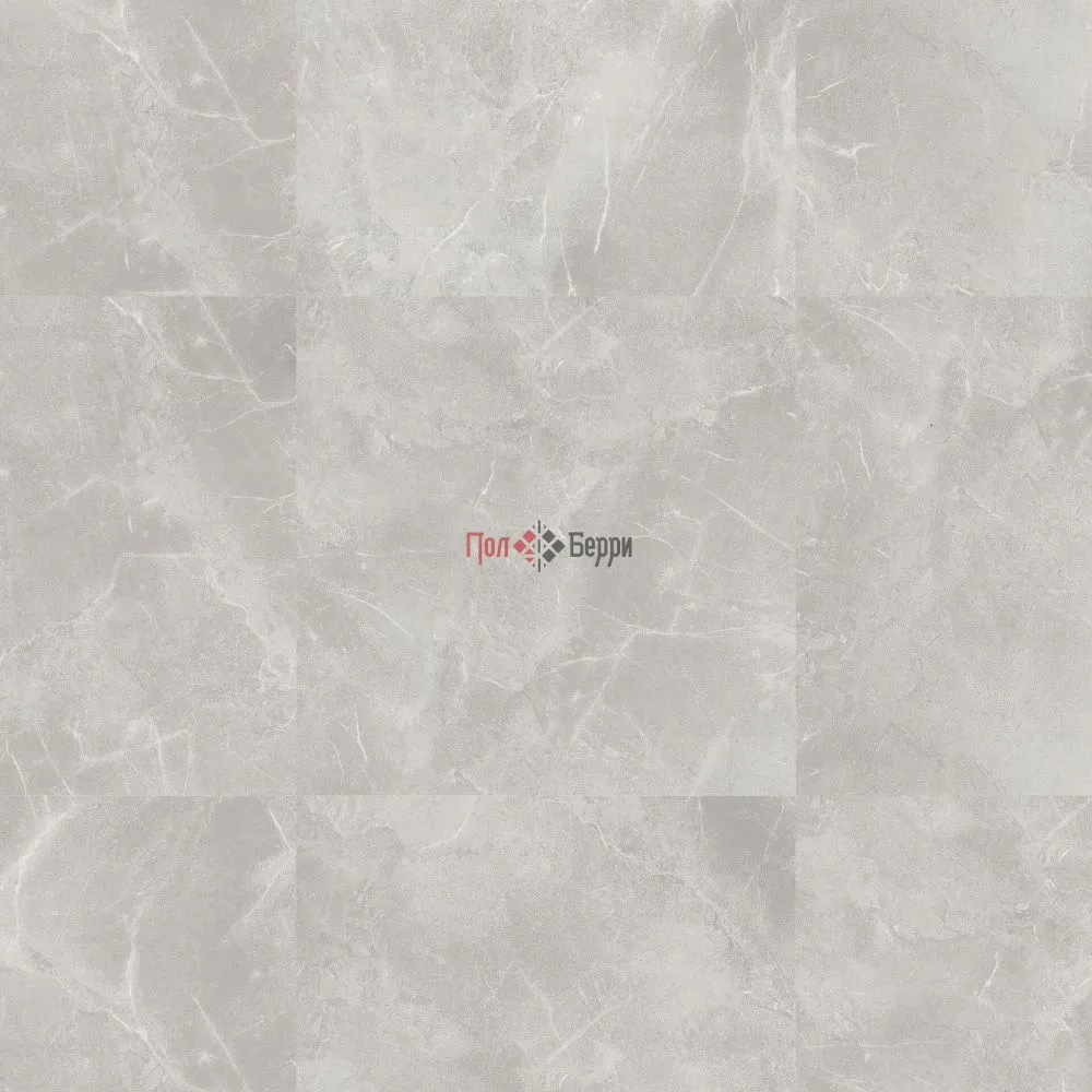 TH_GROOVE_Roy