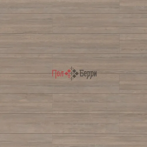 efp_epl248_layout_1