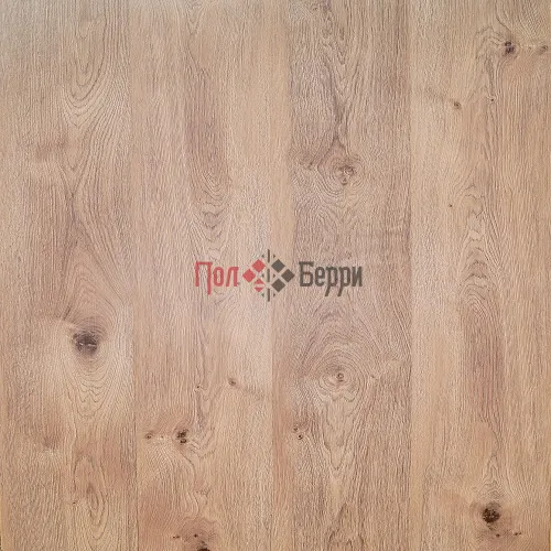 Фото дизайна