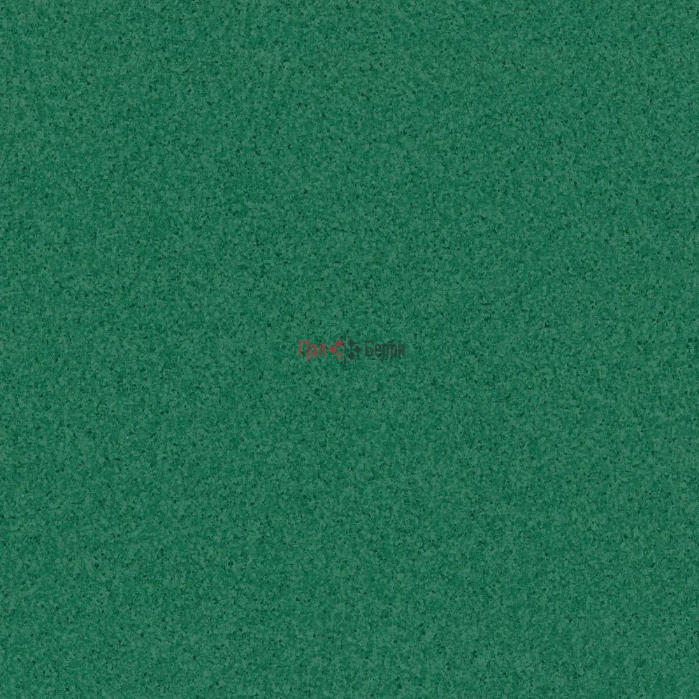 TH_Primo_Plus_312_01