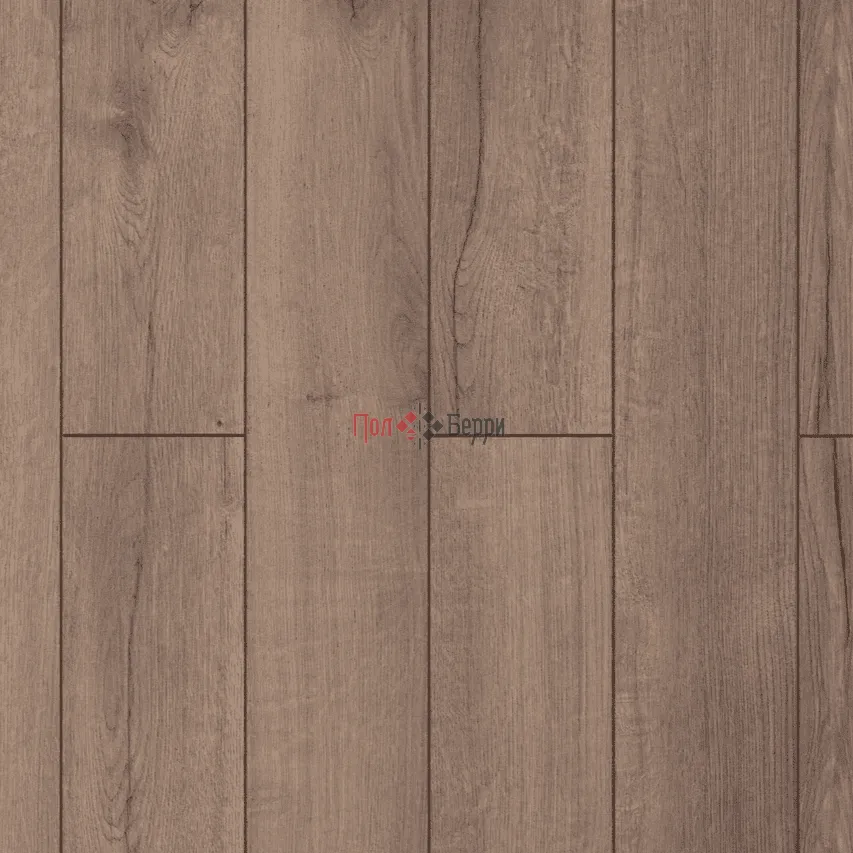 ROC_77-6