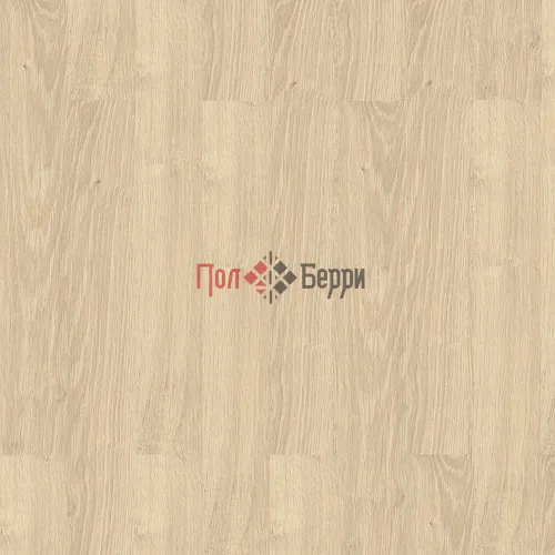 Дуб спелло