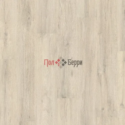 Дуб меловой