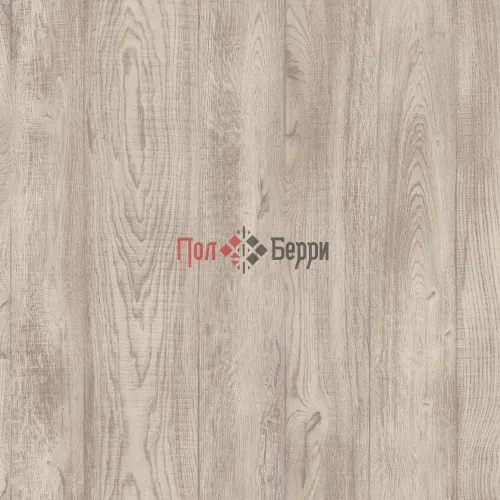 THH_Philosophy_Coen_1