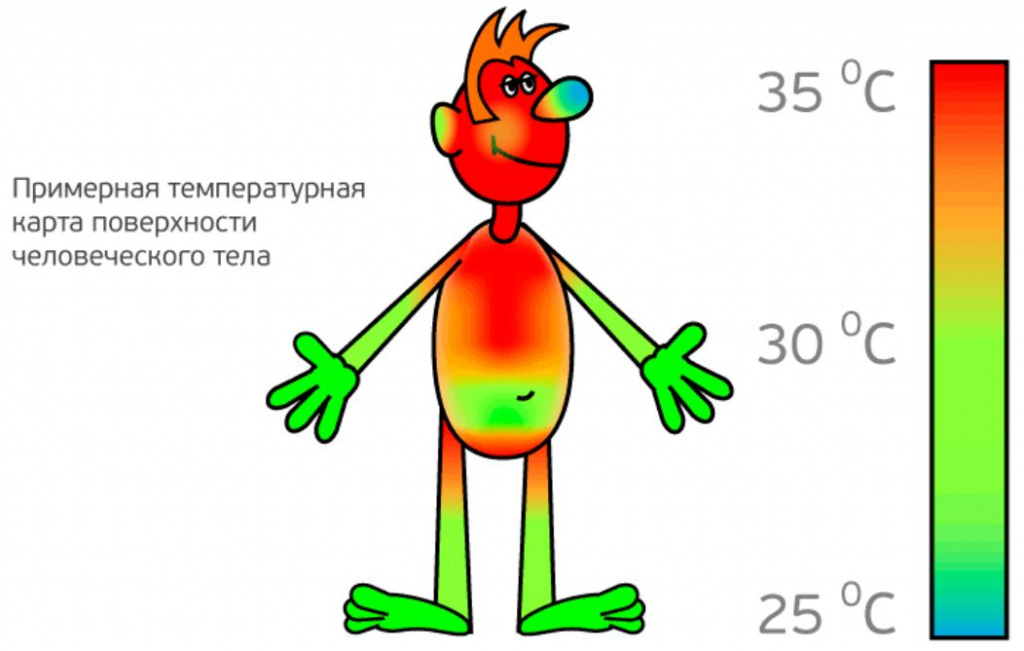 Терморегуляция картинки для презентации